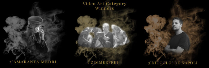 video art category winners art rights prize